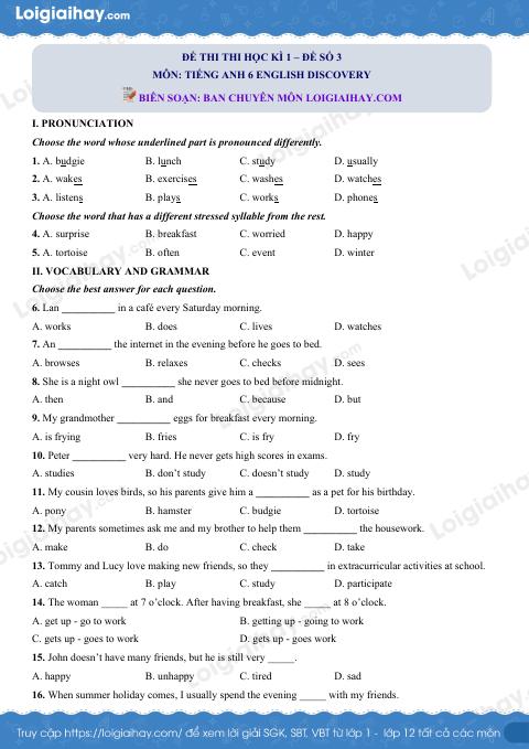Đề thi học kì 1 Tiếng Anh 6 English Discovery - Đề số 3